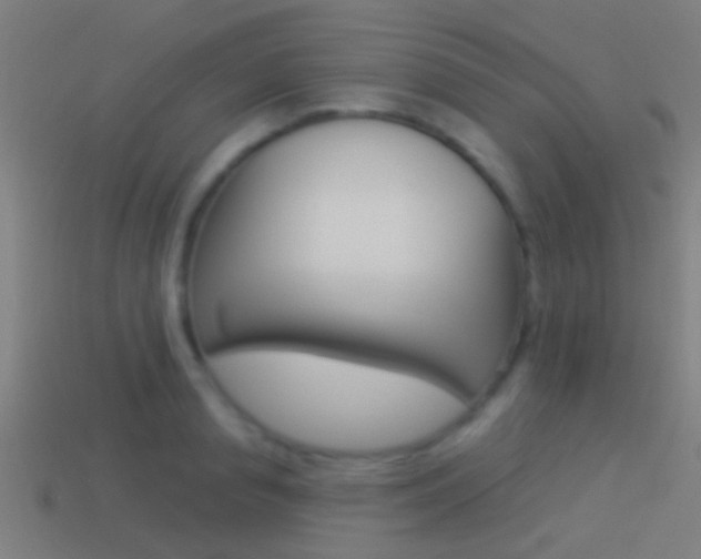 X0000114510845200910190927