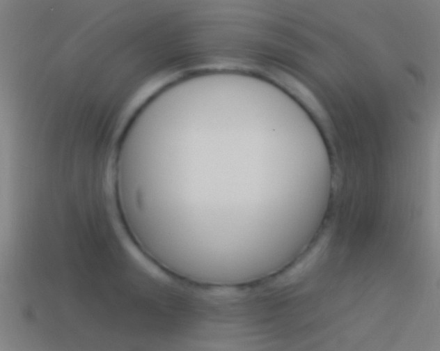 X0000114510847200910190927