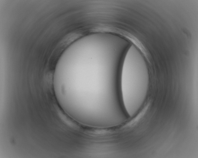 X0000114510849200910190927