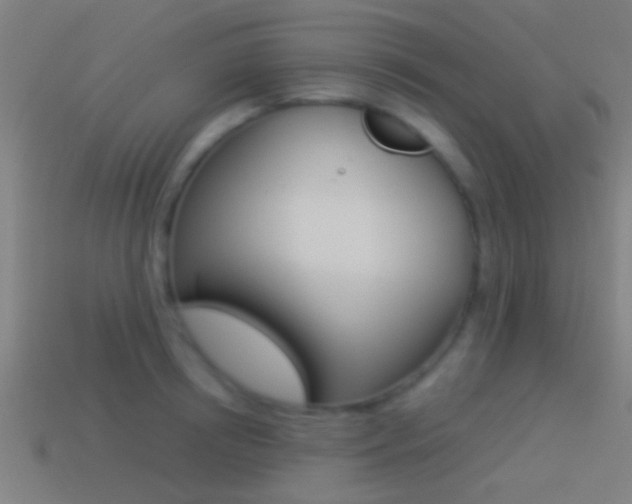 X0000114510850200910190927
