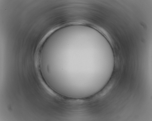 X0000114510851200910190927