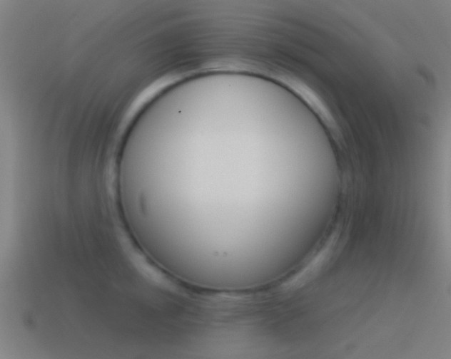 X0000114510854200910190927