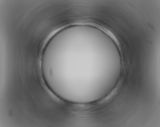 X0000114510855200910190927