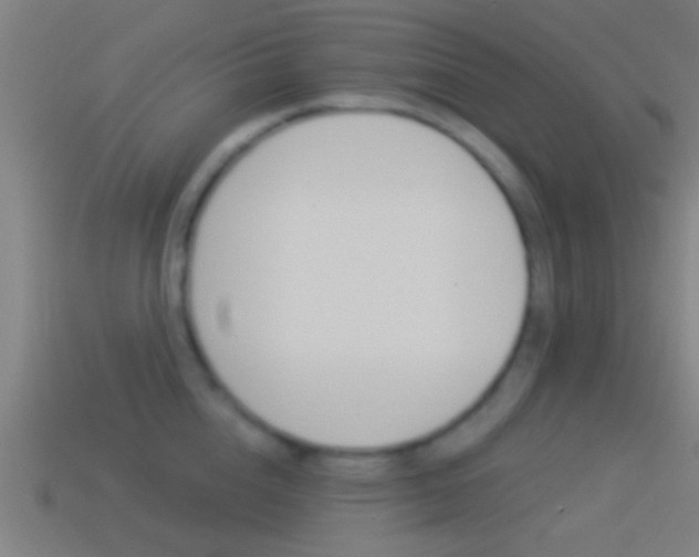 X0000114510856200910190927