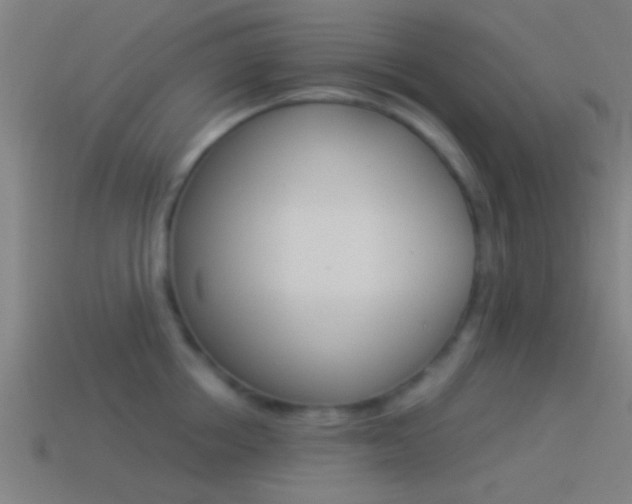 X0000114510858200910190927