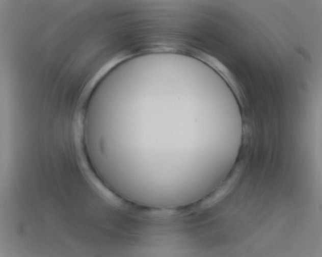 X0000114510859200910190927