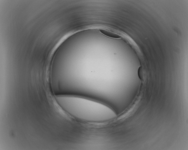 X0000114510860200910190927