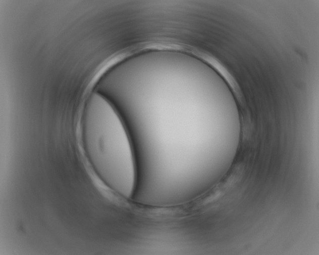 X0000114510861200910190928