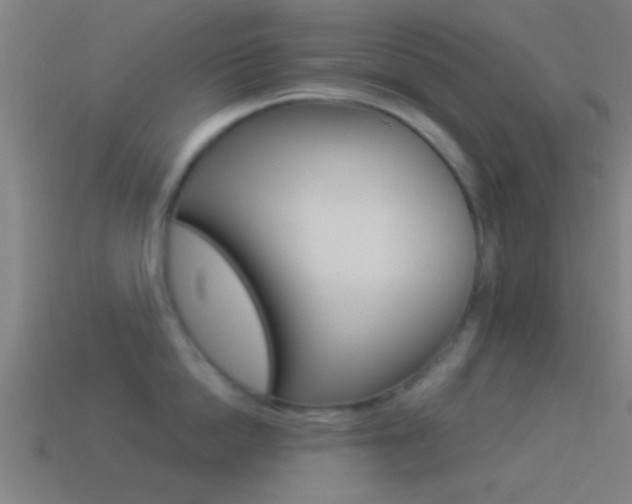 X0000114510862200910190928