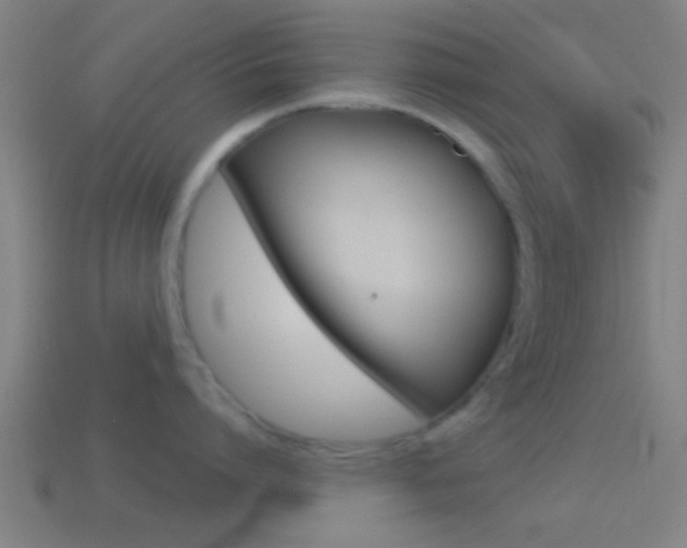 X0000114510864200910190928