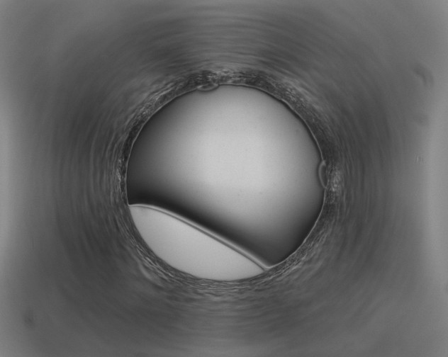 X0000114510868200910190927