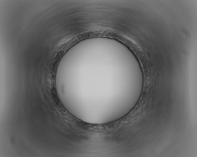 X0000114510869200910190927