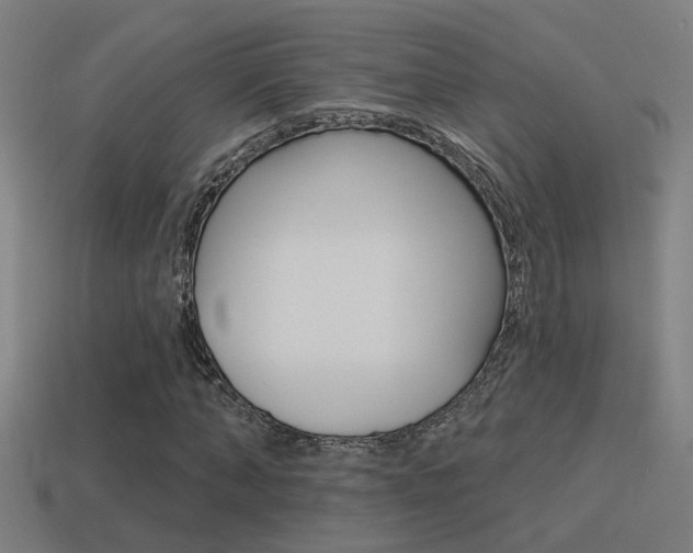 X0000114510870200910190927