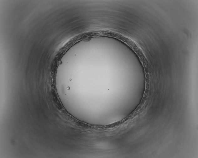 X0000114510871200910190927