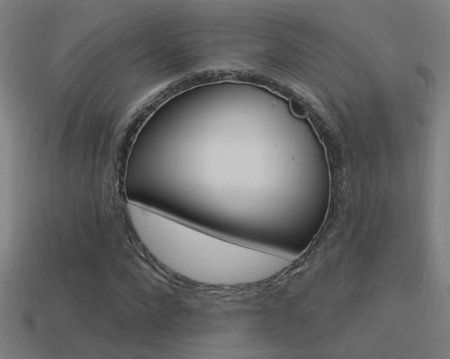 X0000114510872200910190927