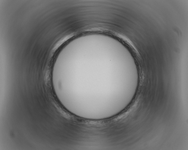 X0000114510874200910190927
