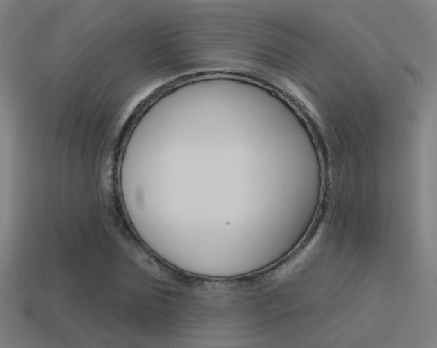 X0000114510875200910190927