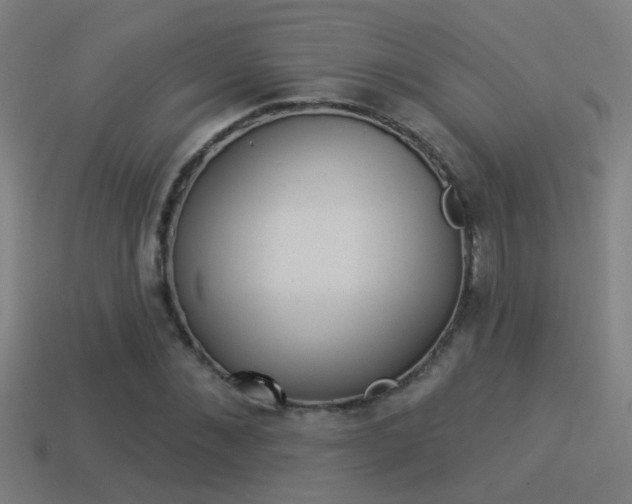 X0000114510876200910190927