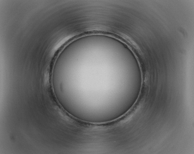 X0000114510877200910190927