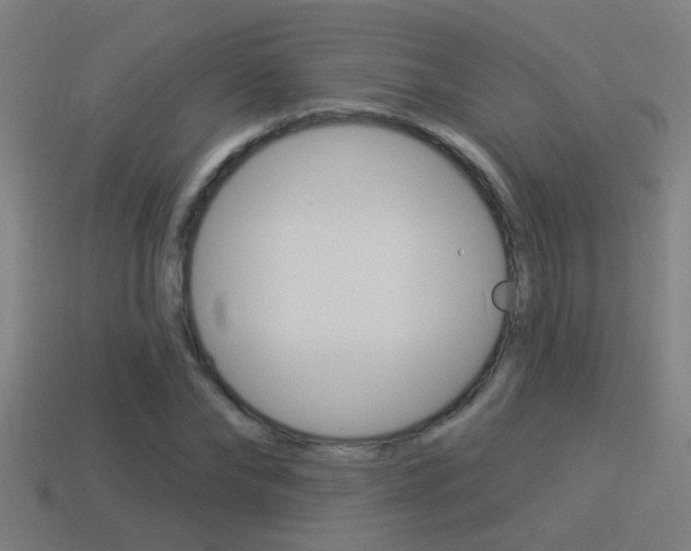 X0000114510878200910190927