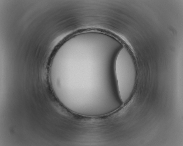 X0000114510879200910190927