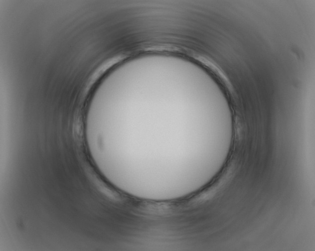X0000114510882200910190927