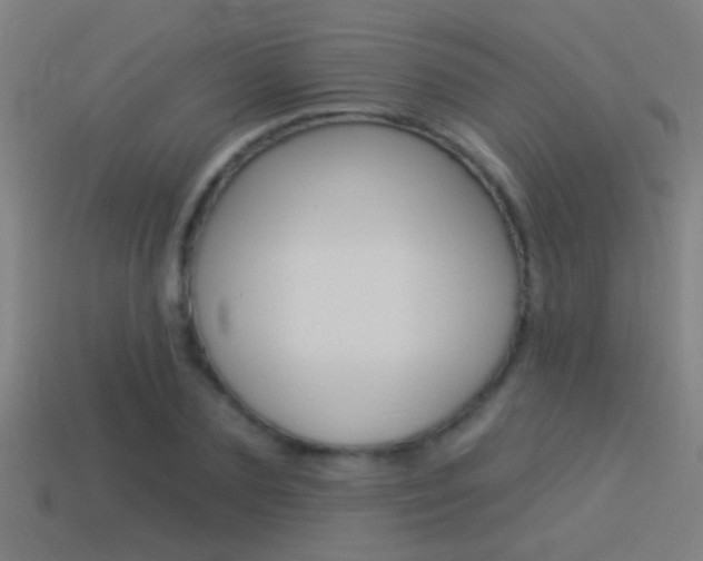 X0000114510883200910190927