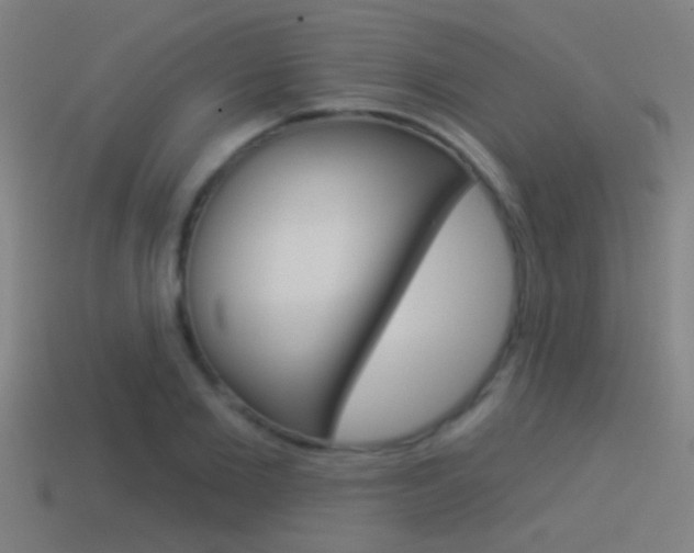 X0000114510885200910190927