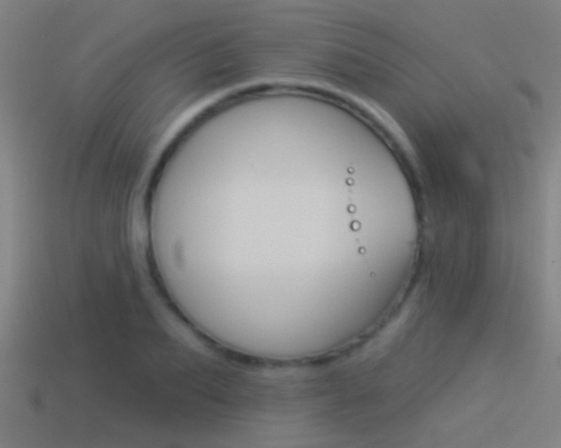 X0000114510887200910190927