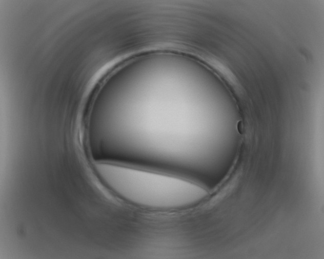 X0000114510888200910190927