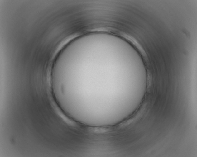 X0000114510890200910190927
