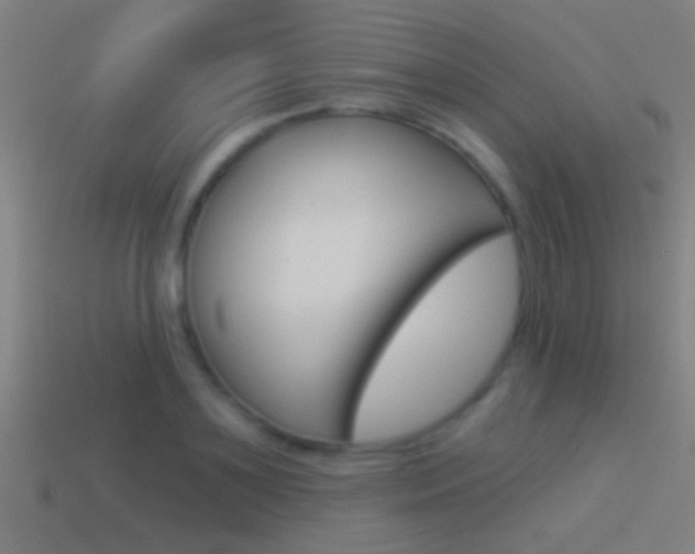 X0000114510891200910190927