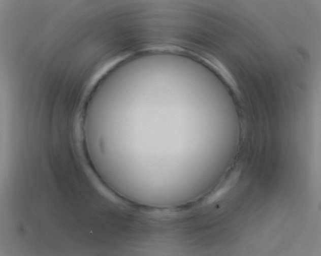 X0000114510893200910190927