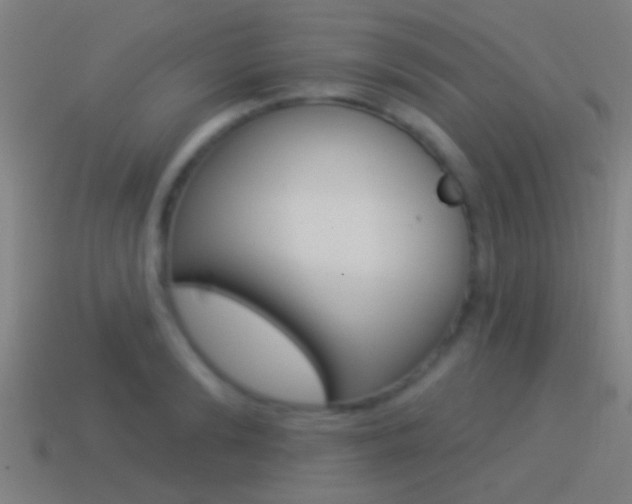 X0000114510894200910190927