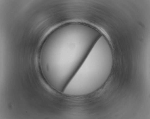 X0000114510895200910190927
