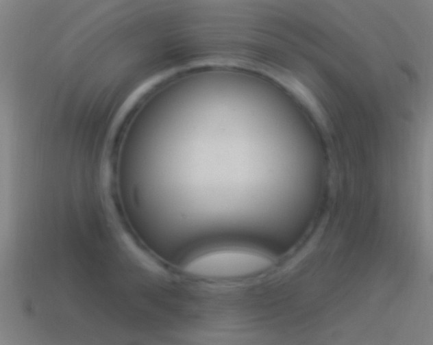 X0000114510896200910190927
