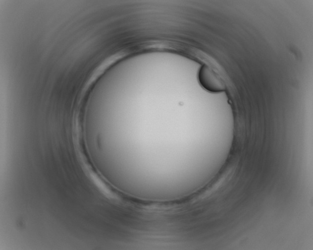 X0000114510898200910190927