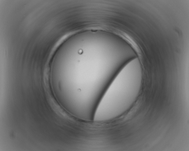 X0000114510899200910190927