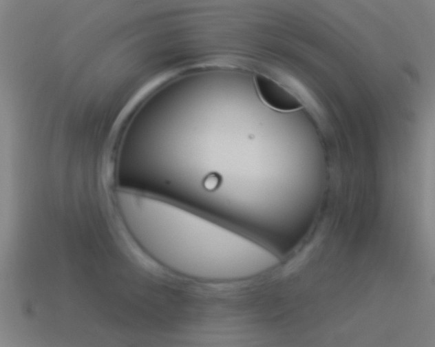 X0000114510900200910190926