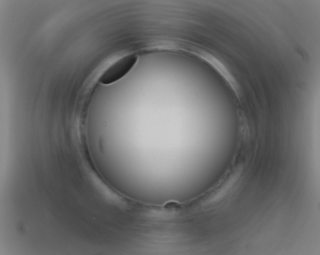 X0000114510901200910190926