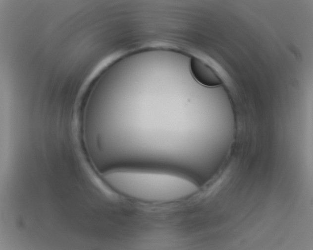 X0000114510902200910190926