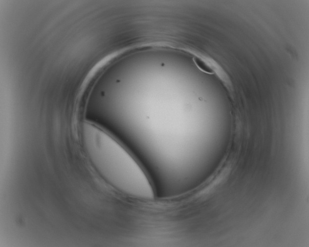X0000114510904200910190926