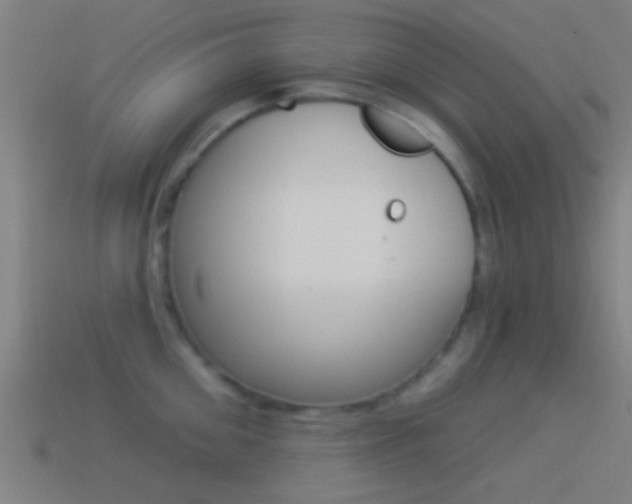 X0000114510906200910190926