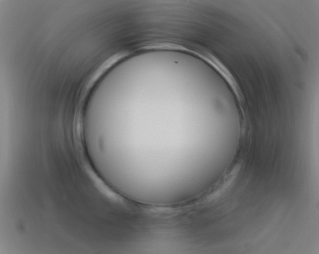 X0000114510909200910190926