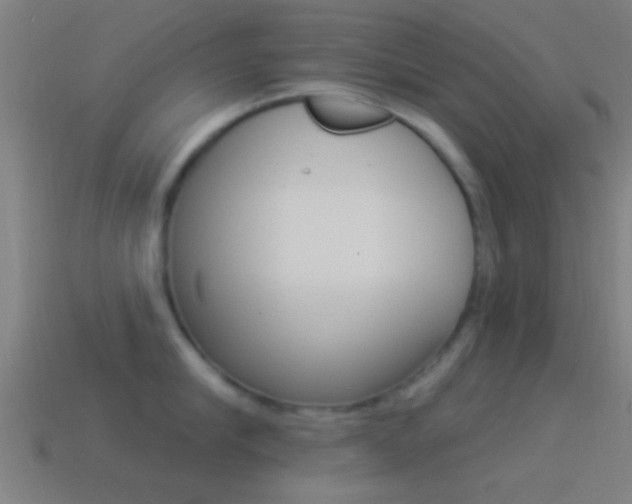 X0000114510910200910190926