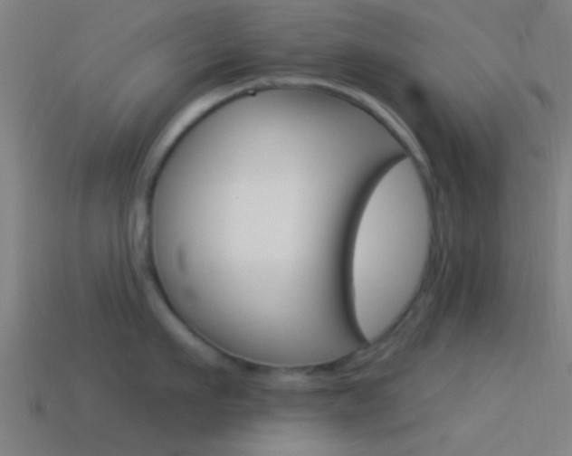 X0000114510911200910190926
