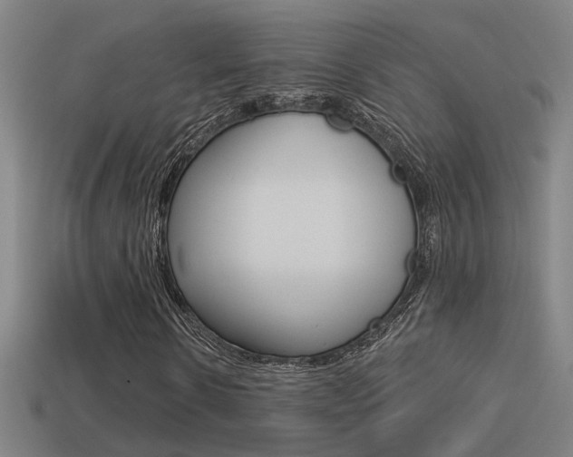X0000114510914200910190926
