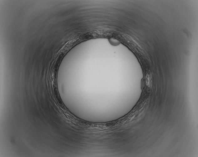 X0000114510915200910190926