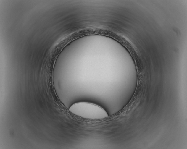 X0000114510919200910190926