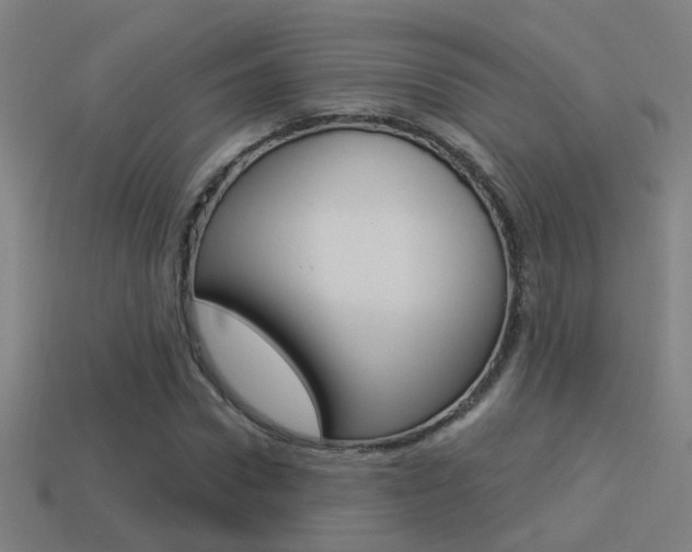 X0000114510922200910190926
